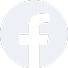 fbIcon