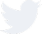 twitterIcon