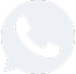 whatsappIcon