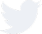 twitterIcon