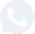 whatsappIcon